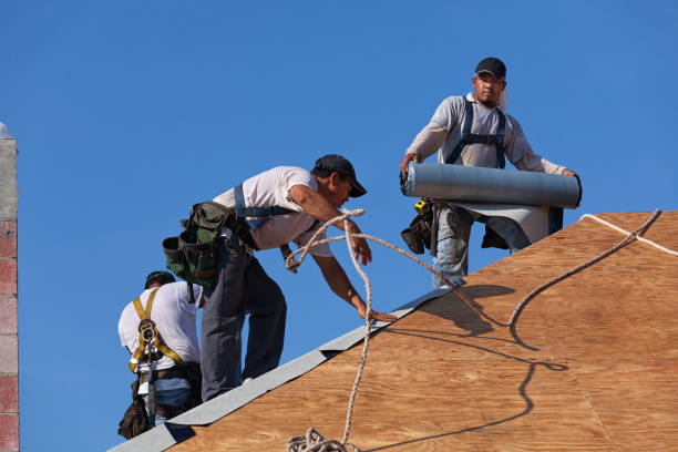 Best Roof Gutter Cleaning  in Offutt Af, NE
